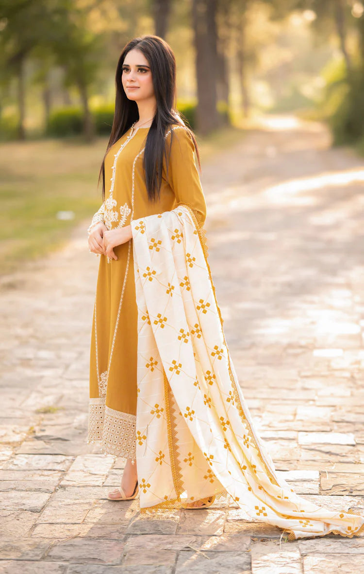 BrandsInn-3PC DHANAK EMBROIDERED SHIRT WITH COURTRAI WOOL PRINTED SHAWL AND TROUSER-BI-4281
