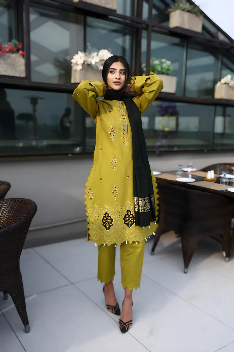BRANDSINN-3PC KHADDAR CUTWORK EMBROIDERED SHIRT WITH KASHMIRI JACQUARD WOOL SHAWL-BI-4033