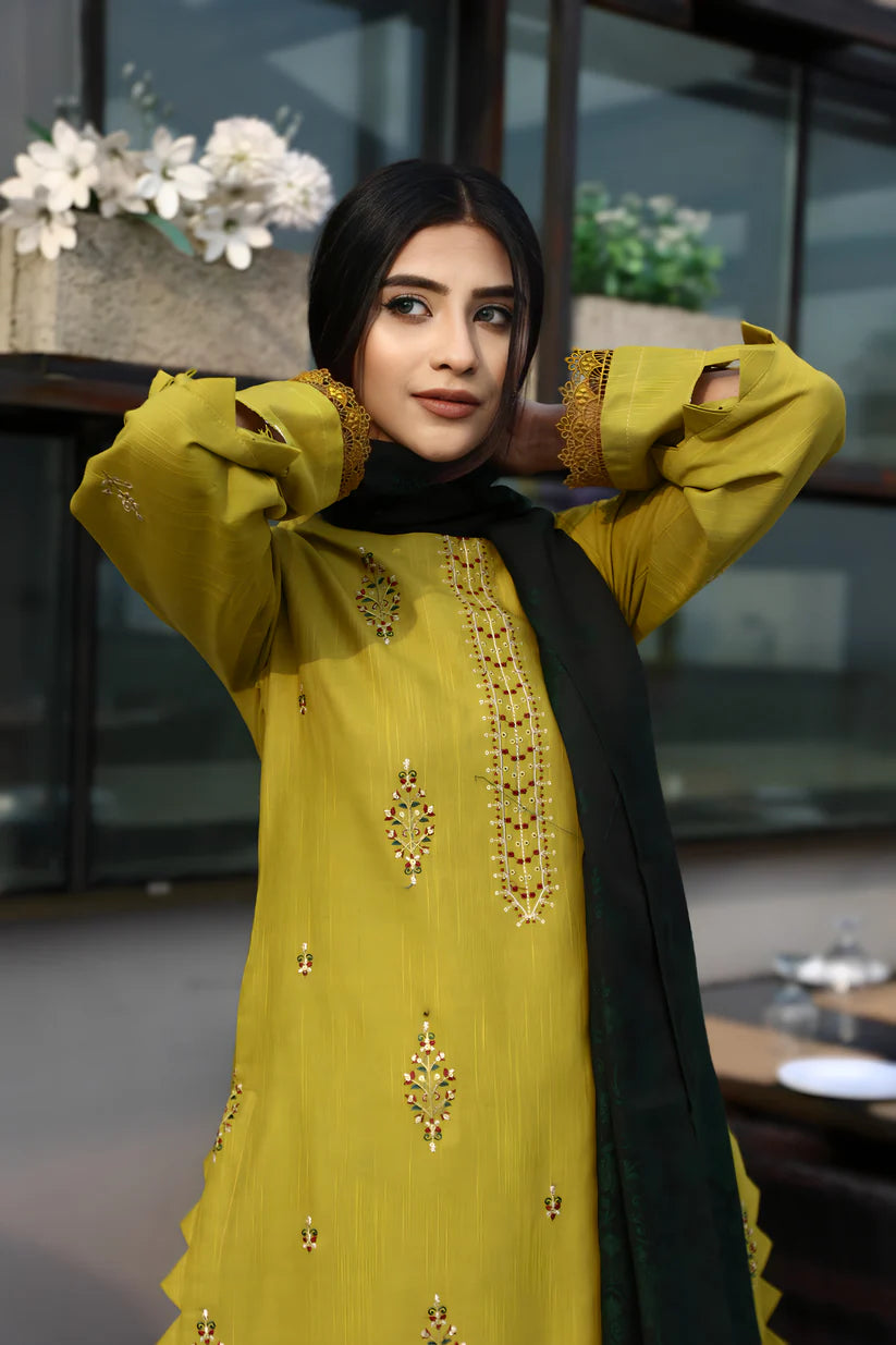 BRANDSINN-3PC KHADDAR CUTWORK EMBROIDERED SHIRT WITH KASHMIRI JACQUARD WOOL SHAWL-BI-4033