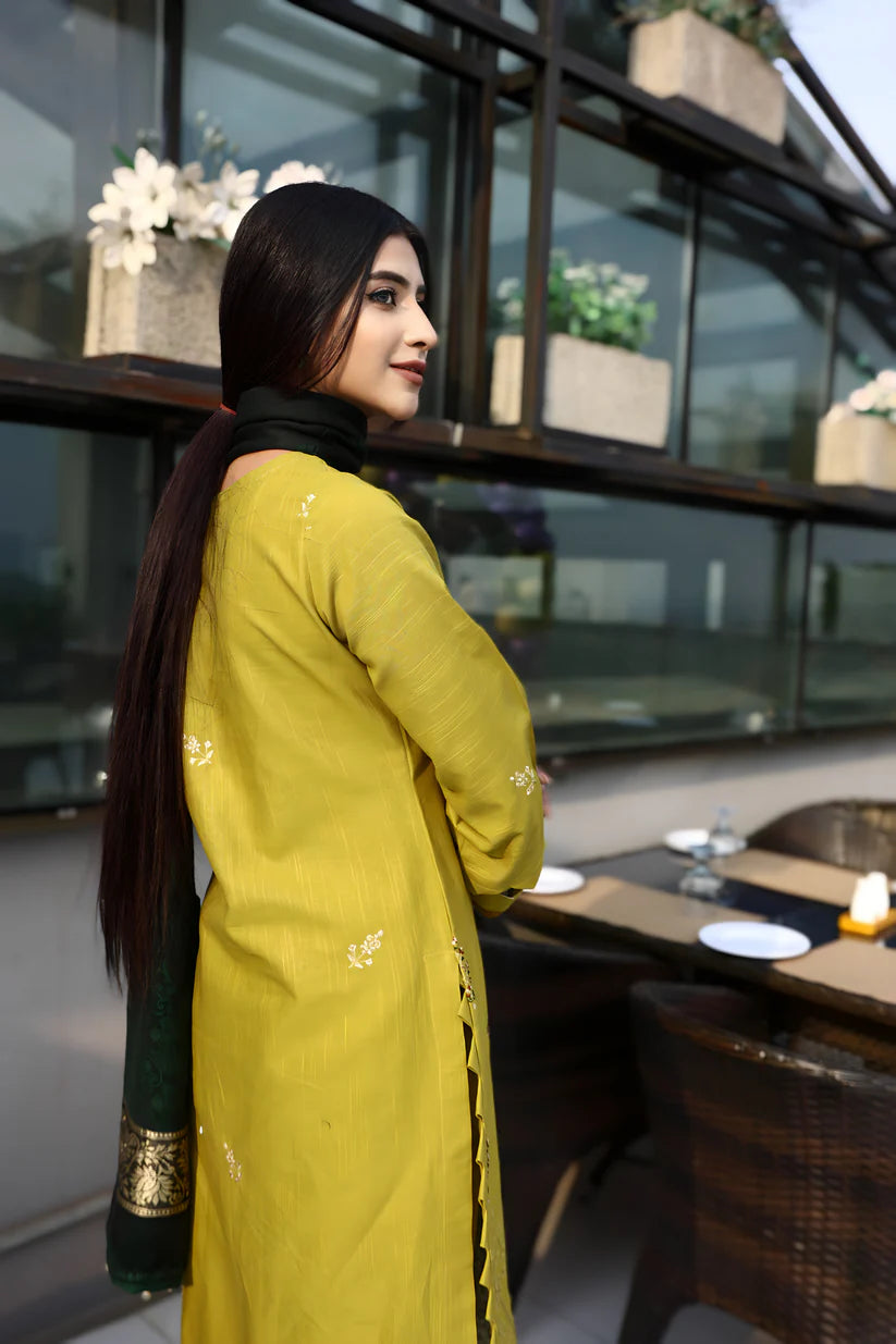 BRANDSINN-3PC KHADDAR CUTWORK EMBROIDERED SHIRT WITH KASHMIRI JACQUARD WOOL SHAWL-BI-4033