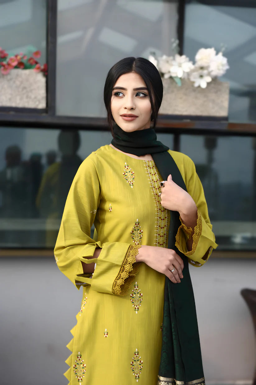 BRANDSINN-3PC KHADDAR CUTWORK EMBROIDERED SHIRT WITH KASHMIRI JACQUARD WOOL SHAWL-BI-4033
