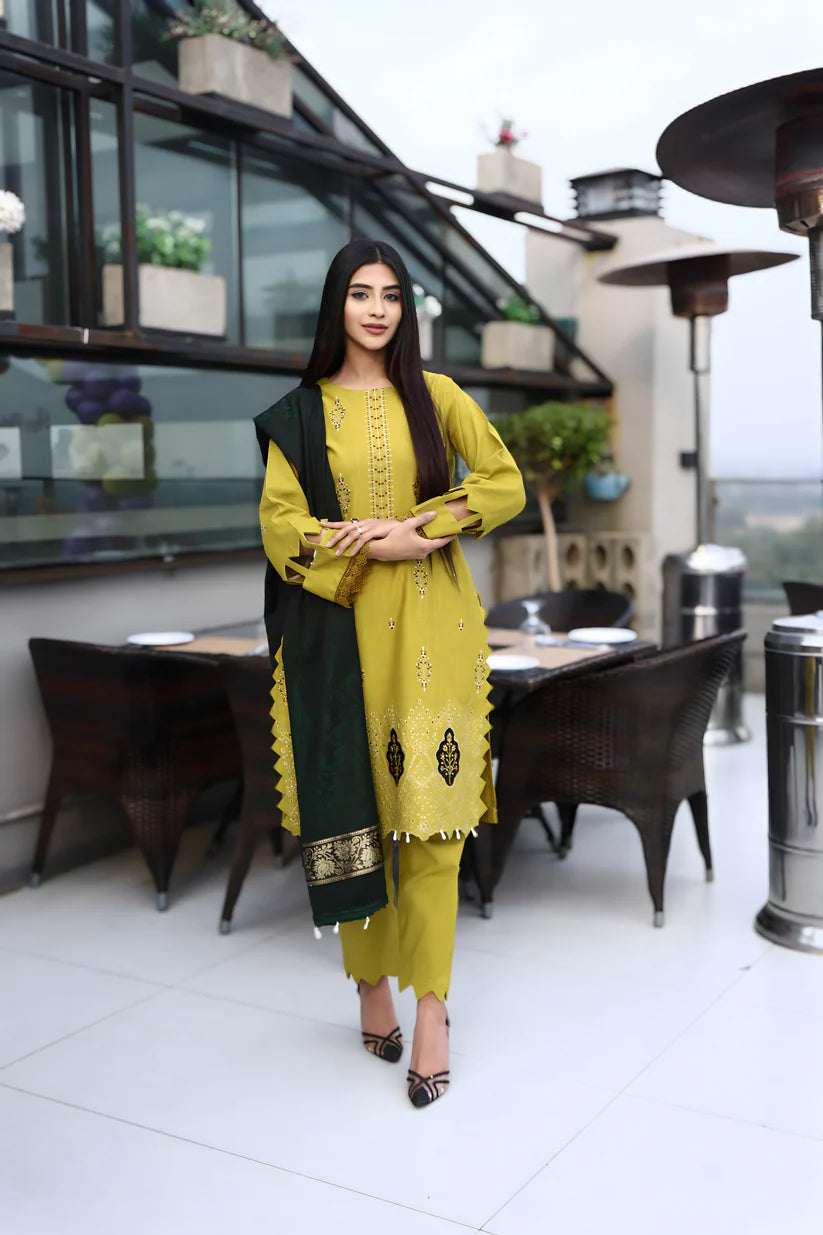 BRANDSINN-3PC KHADDAR CUTWORK EMBROIDERED SHIRT WITH KASHMIRI JACQUARD WOOL SHAWL-BI-4033