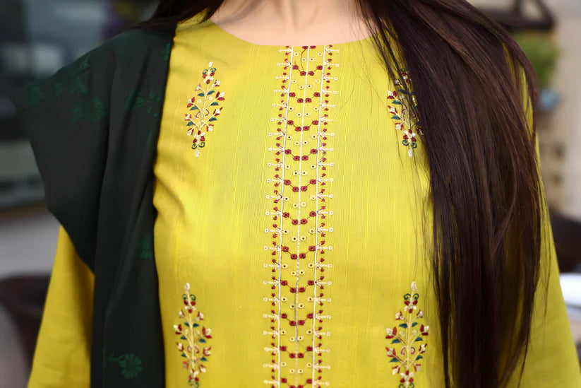 BRANDSINN-3PC KHADDAR CUTWORK EMBROIDERED SHIRT WITH KASHMIRI JACQUARD WOOL SHAWL-BI-4033