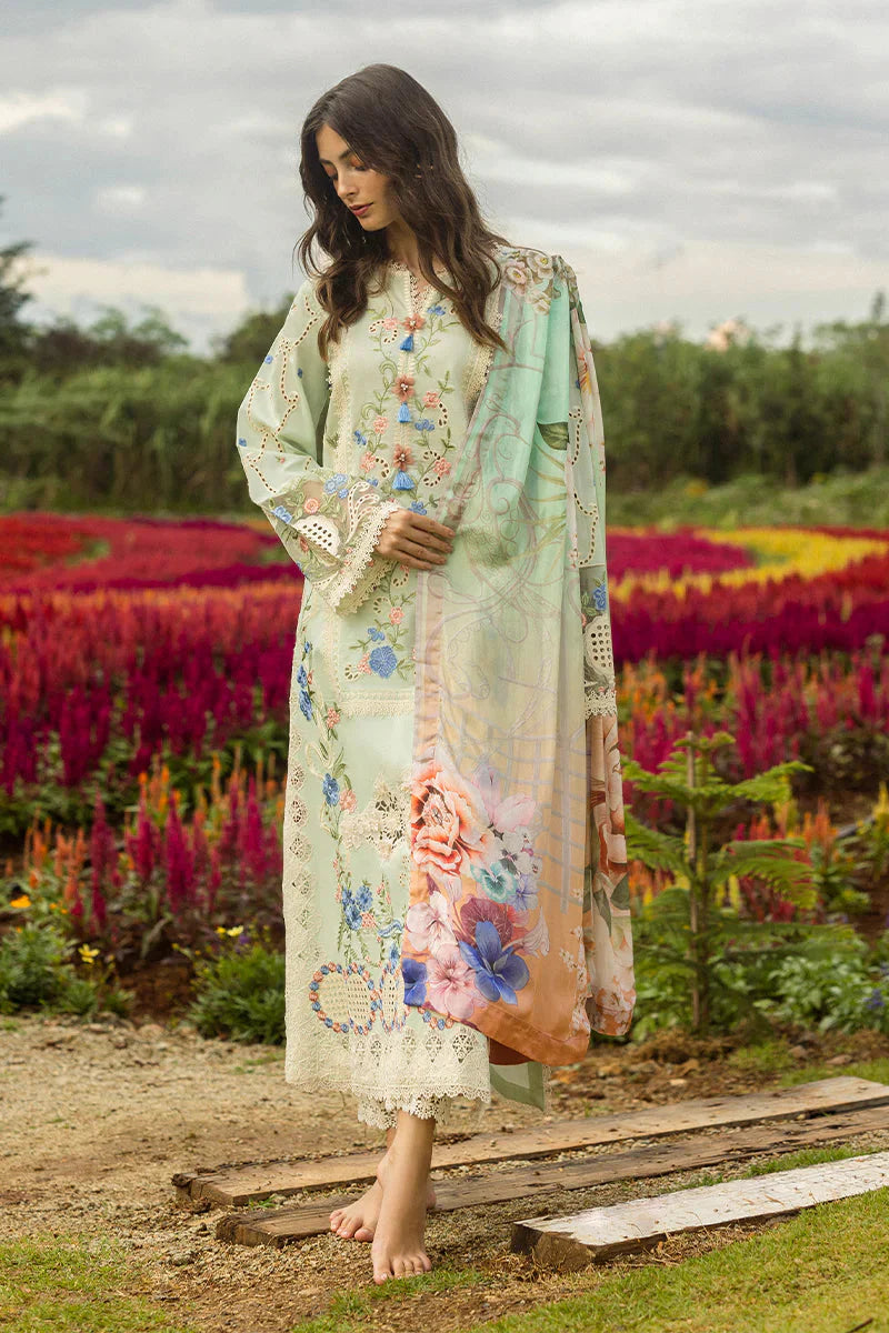 BrandsInn-3PC DHANAK CHIKAN EMBROIDERED SHIRT WITH COURTRAI WOOL PRINTED SHAWL AND TROUSER-BI-4247