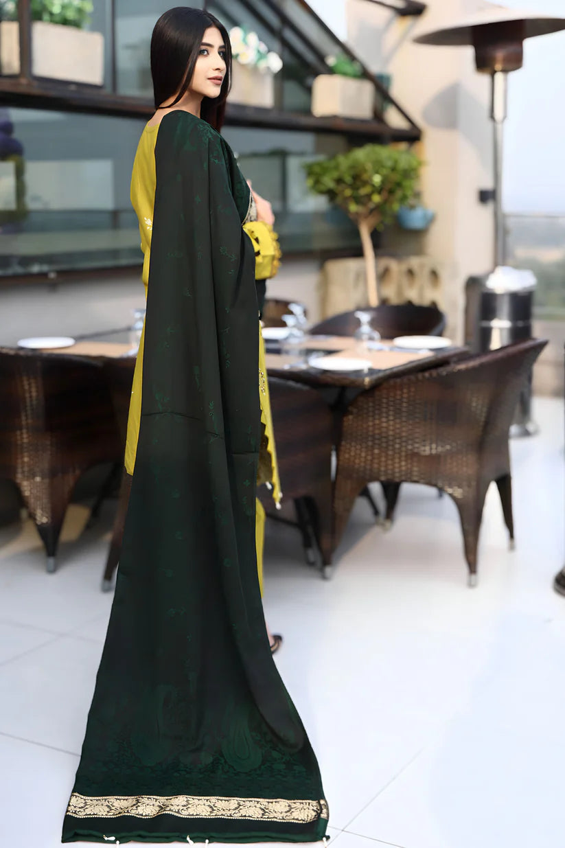 BRANDSINN-3PC KHADDAR CUTWORK EMBROIDERED SHIRT WITH KASHMIRI JACQUARD WOOL SHAWL-BI-4033