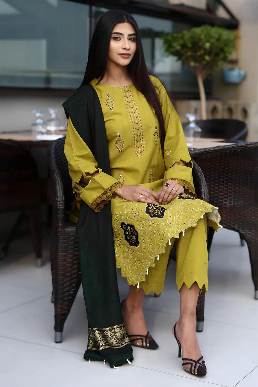 BRANDSINN-3PC KHADDAR CUTWORK EMBROIDERED SHIRT WITH KASHMIRI JACQUARD WOOL SHAWL-BI-4033