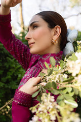 BrandsInn-3PC DHANAK EMBROIDERED SHIRT WITH COURTRAI WOOL PRINTED SHAWL AND TROUSER-BI-5219
