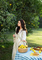 BrandsInn-3PC DHANAK EMBROIDERED SHIRT WITH DHANAK EMB SHAWL AND TROUSER-BI-5217