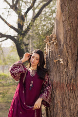 BrandsInn-3PC DHANAK EMBROIDERED SHIRT WITH CHIFFON EMBROIDERED DUPATTA AND EMB TROUSER -BI-5163