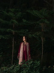 BrandsInn-3PC DHANAK EMBROIDERED SHIRT WITH COUTRAI PRINTED SHAWL AND TROUSER-BI-5323