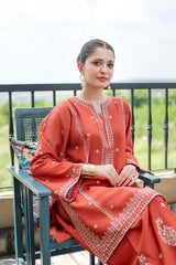 BrandsInn_2PIECE DHANAK EMBROIDERED SHIRT WITH DHANAK EMB TROUSER-BI-15020