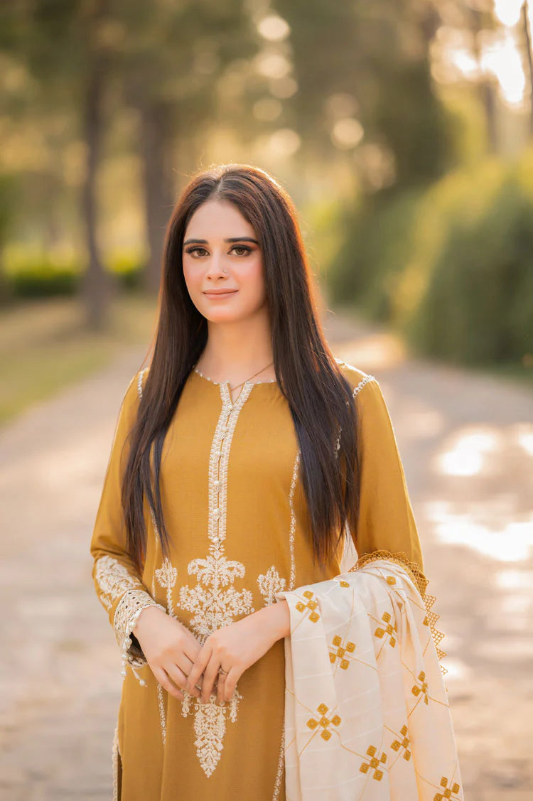 BrandsInn-3PC DHANAK EMBROIDERED SHIRT WITH COURTRAI WOOL PRINTED SHAWL AND TROUSER-BI-4281