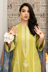 BrandsInn-3PC DHANAK EMBROIDERED SHIRT WITH COUTURE WOOL PRINT SHAWL AND EMB TROUSER-BI-4134