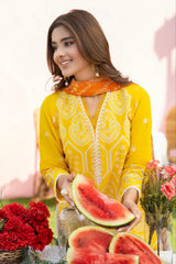 BrandsInn - 3PC LAWN EMBROIDERED SHIRT WITH CHIFFON PRINTED DUPATTA AND TROUSER -BI-0144
