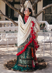 BrandsInn-3PC DHANAK EMBROIDERED SHIRT WITH COUTRAI PRINTED SHAWL AND TROUSER-BI-5212