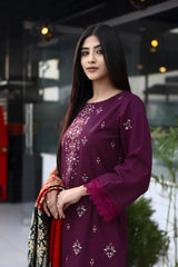 BRANDSINN-3PC KHADDAR CUTWORK EMBROIDERED SHIRT WITH KASHMIRI JACQUARD WOOL SHAWL-BI-4034