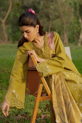 BrandsInn-3PC DHANAK EMBROIDERED SHIRT WITH WOOL PRINTED SHAWL AND TROUSER-BI-5080