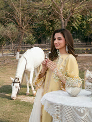 BrandsInn-3PC LAWN EMBROIDERED SHIRT WITH KHAADI NET EMBROIDERED DUPATTA AND TROUSER-BI-4832