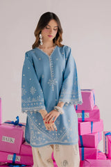 BrandsInn-2PIECE DHANAK EMBROIDERED SHIRT WITH DHANAK EMB TROUSER-BI-15005