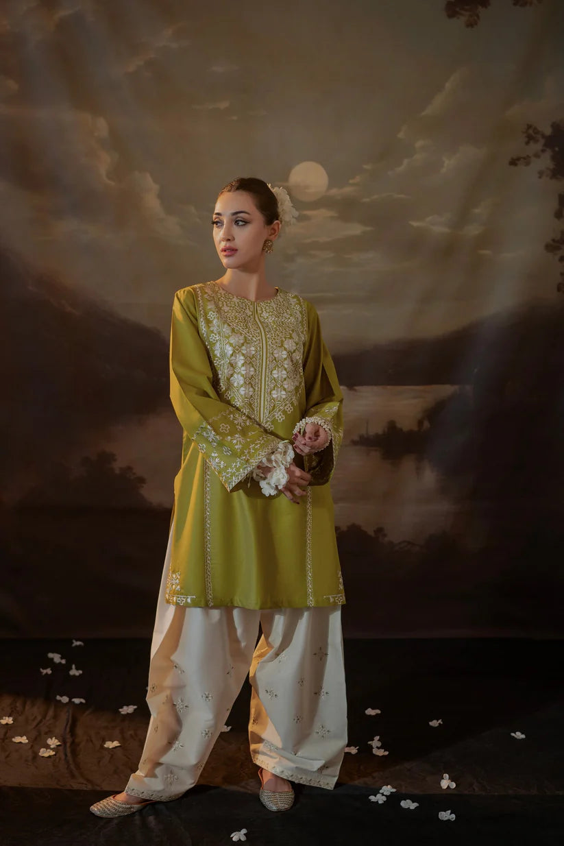 BrandsInn-2PC LAWN EMBROIDERED SHIRT WITH LAWN EMBROIDERED TROUSER-BI-226