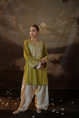 BrandsInn-2PC LAWN EMBROIDERED SHIRT WITH LAWN EMBROIDERED TROUSER-BI-226