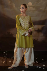BrandsInn-2PIECE DHANAK EMBROIDERED SHIRT WITH DHANAK EMB TROUSER-BI-15038