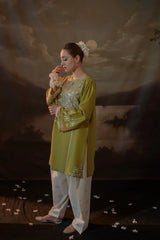 BrandsInn-2PC LAWN EMBROIDERED SHIRT WITH LAWN EMBROIDERED TROUSER-BI-226