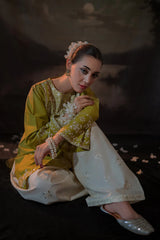 BrandsInn-2PC LAWN EMBROIDERED SHIRT WITH LAWN EMBROIDERED TROUSER-BI-226
