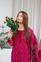 BRANDS INN-3PC DHANAK EMBROIDERED SHIRT WITH HEAVY CUTWORK EMBROIDERED DHANAK SHAWL AND TROUSER-BI-4064