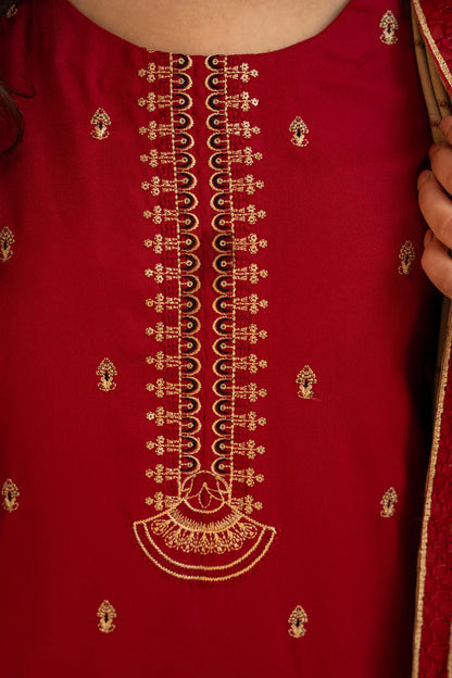 BRANDS INN-3PC DHANAK CUTWORK EMBROIDERED SHIRT WITH HEAVY CUTWORK EMBROIDERED JACQUARD WOOL SHAWL-BI-4086