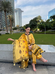 BRANDSINN-3PC KARANDI PRINTED EMBROIDERED SHIRT WITH KARANDI PRINTED EMB SHAWL & PRINTED TROUSER-BI-