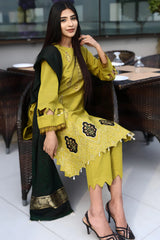 BRANDSINN-3PC KHADDAR CUTWORK EMBROIDERED SHIRT WITH KASHMIRI JACQUARD WOOL SHAWL-BI-4033