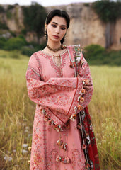 BrandsInn-3PC DHANAK EMBROIDERED SHIRT WITH WOOL PRINT SHAWL AND EMB TROUSER -BI-5160