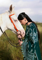 BrandsInn-3PC KARANDI EMBROIDERED SHIRT WITH KARANDI EMBROIDERED SHAWL AND TROUSER-BI-5249